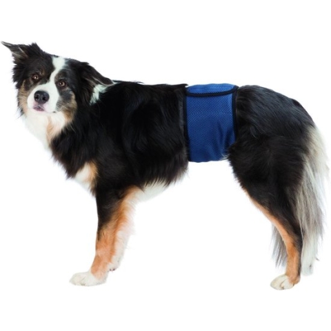 Trixie Plasband voor Reuen S 29/37cm Blauw