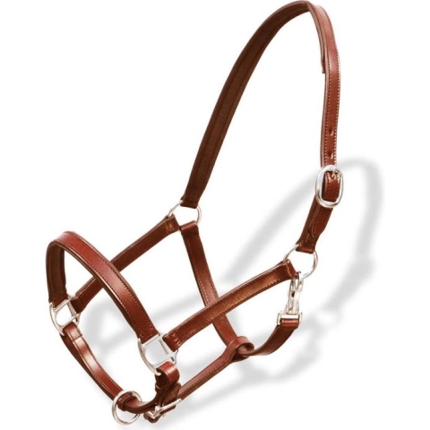 VidaXL Halster Paard - Leer - Verstelbaar - Bruin - Pony