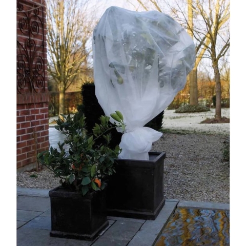 Nature - Winterafdekvlies voor planten - 2 x 10m - 30 g/m² - winterbescherming