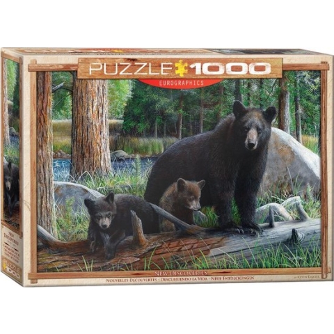 Eurographics puzzel New Discoveries - Daniel - 1000 stukjes