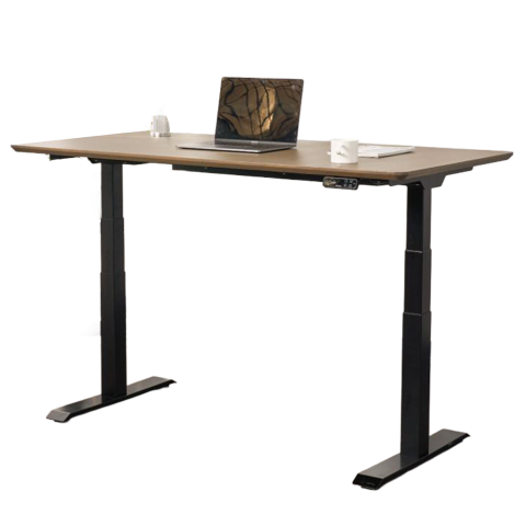 Flexispot Premium Elektrisch Zit/sta-bureau Kantoor Zit/sta Bureau