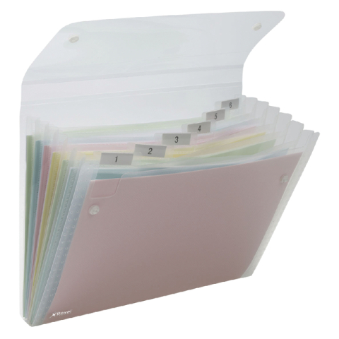 Rexel Sorteermap 6 comp. ice t