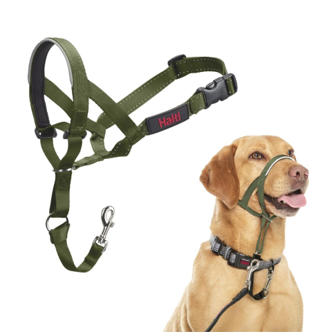 Halti hondenhoofdband bosgroen maat 3: Doberman, Labrador, Setter hond
