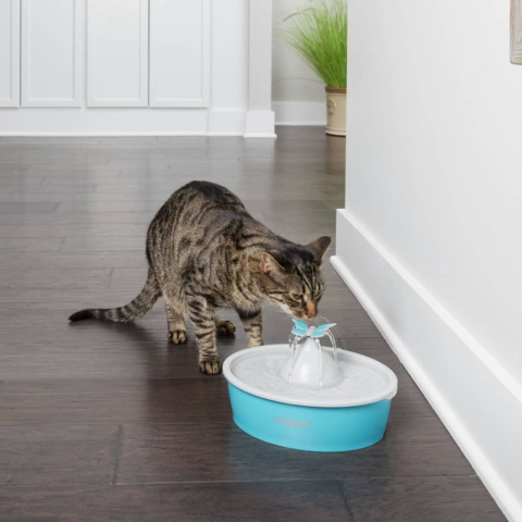 PetSafe® Drinkwell® Butterfly Drinkfontein 1,5 l Kat