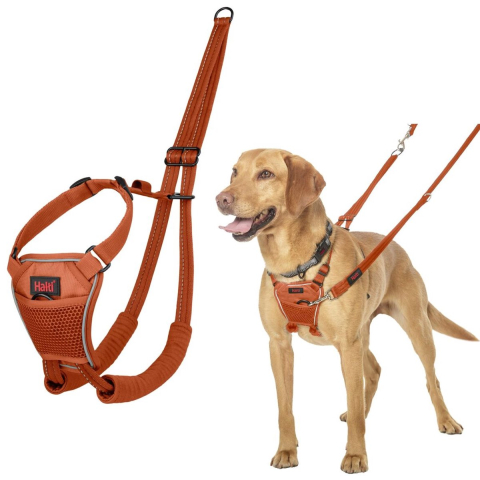 Halti Harnas No Pull trainingsharnas - oranje: Maat M, z.B. Retriever, Border Collie