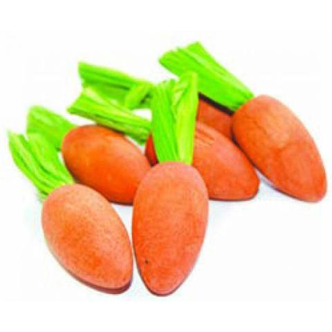 Critter's Choice Happy pet carrot nibblers knaaghout