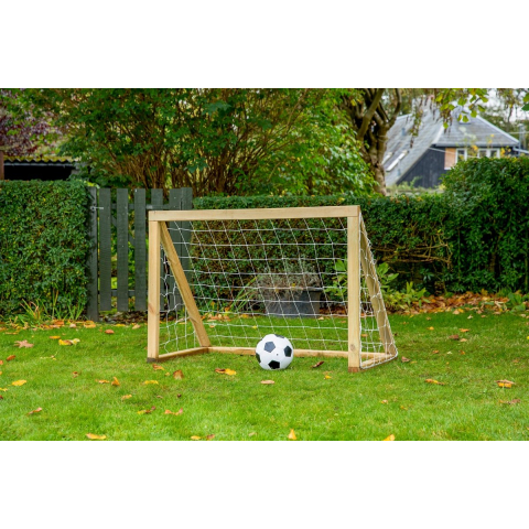 Home Goal Classic Micro