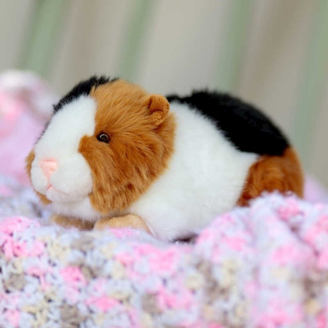 Animigos Guinea Pig