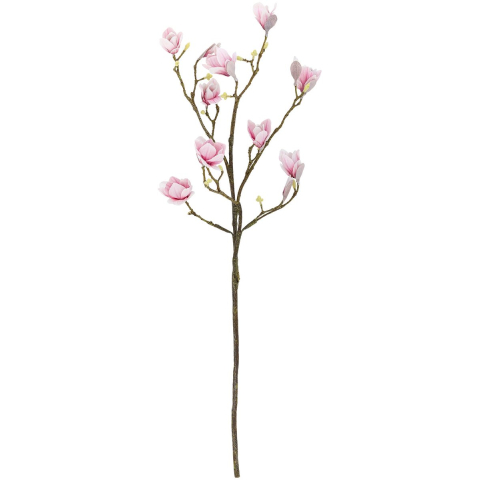 Bloomingville Magnolia