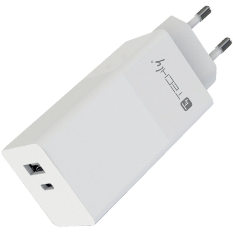 TECHLY power adapter - USB 24 pin USB-C - 100 Watt