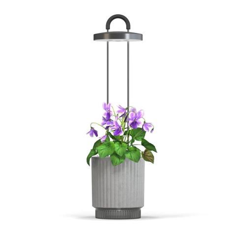 Click and Grow - HydroVase - Grijs