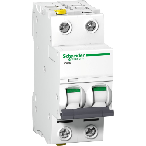 Schneider Electric Acti9 ic60n miniature circuit breaker 2p 6 a c curve 10