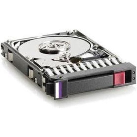 HP - 1TB - Harde schijf - 454273-001 - SATA-300 - 3.5"