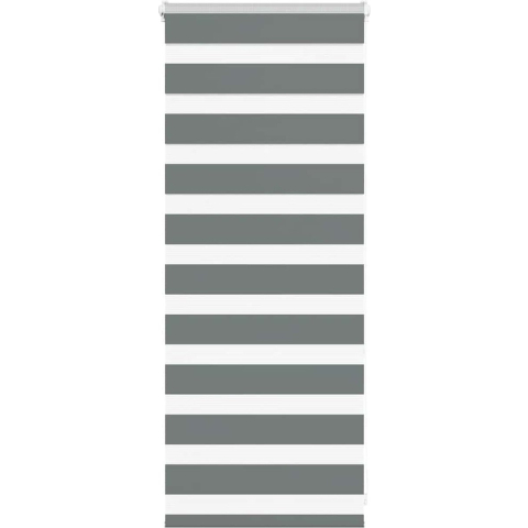 VidaXL Zebra rolgordijn 55x100 cm stofbreedte 50,9 cm donkergrijs