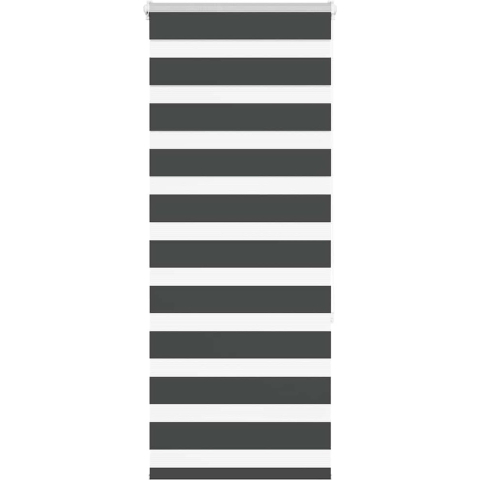 VidaXL Zebra rolgordijn 55x150 cm stofbreedte 50,9 cm zwart