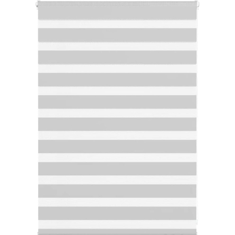 VidaXL Zebra rolgordijn 115x100 cm stofbreedte 110,9 cm lichtgrijs