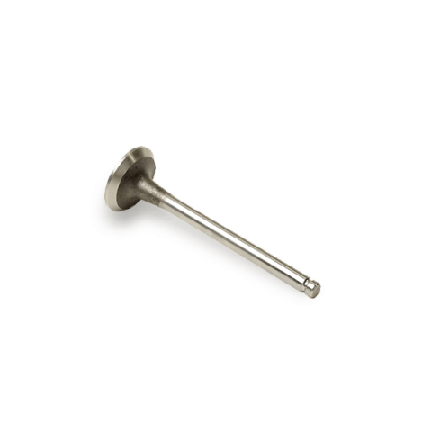 AE V94595 uitlaatklep