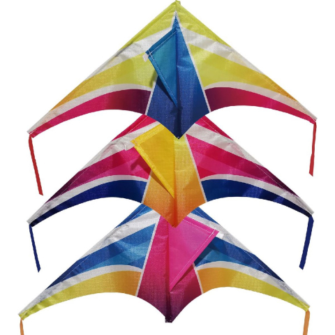 Rhombus minidelta vlieger