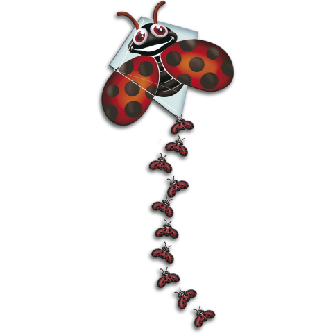 Rhombus pop-up lady bug vlieger