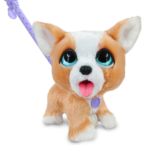 Furreal poop a lots Corgi