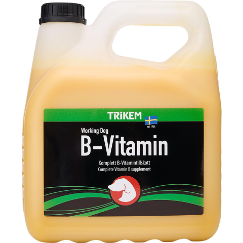 TRIKEM - B-Vitamin 3L - (721.2023)