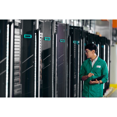 Hewlett Packard Enterprise HPE DL345 Gen12 2SFF x4 OCP