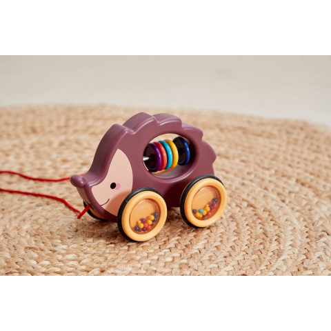 Scandinavian Baby Products Pull Along Turtle