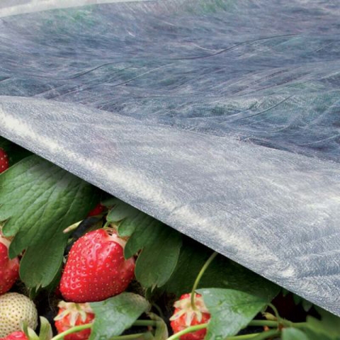 TENAX Ortoclima Anti-Vorst Plant Cover - 4 x 250 m, Wit