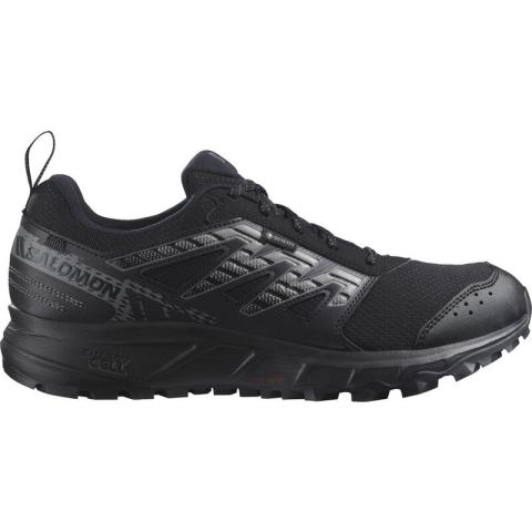 Salomon Wander GTX 471484 42