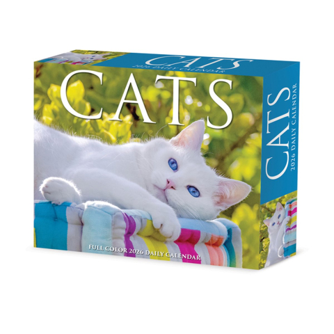 Cats 2026 Box Calendar