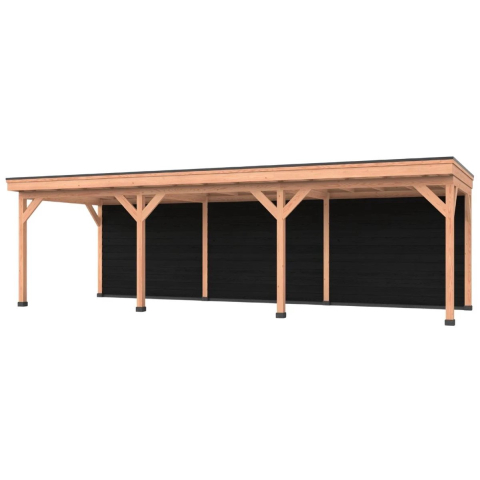 Douglas overkapping, 900 x 250, Met achterwand, Westwood Comfort Basic zwart