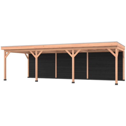 Douglas overkapping, 900 x 350, met zwarte achterwand, Westwood Comfort Plus