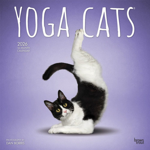 Yoga Cats 2026 Square Flap Calendar