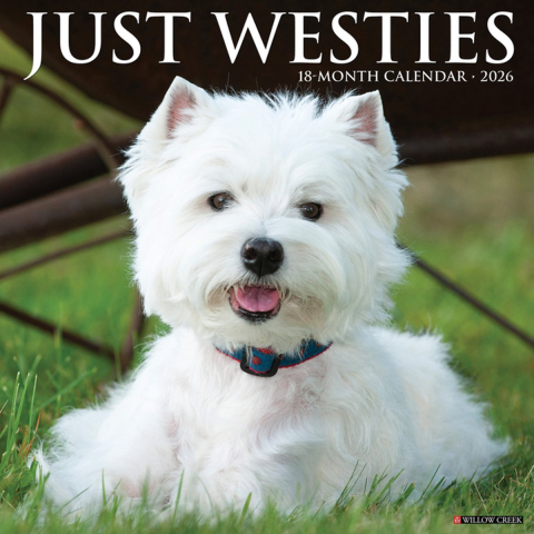 Westies 2026 Wall Calendar