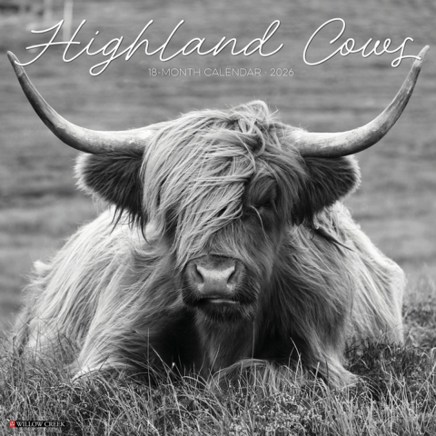 Highland Cows (B&w) 2026 Wall Calendar
