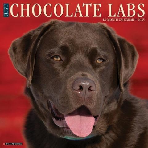 Chocolate Labs 2026 Wall Calendar