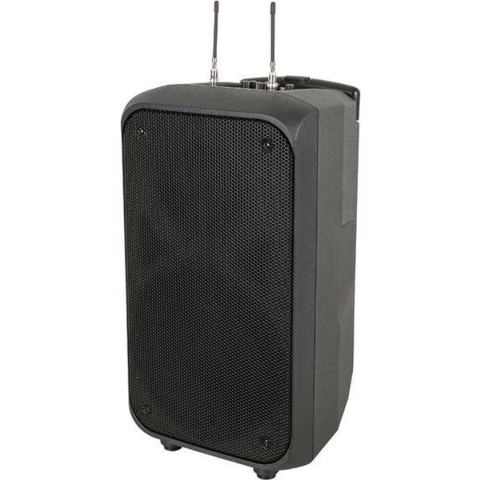 DAP PSS-110 MKIII 10 Accu Speaker 200 Watt RMS