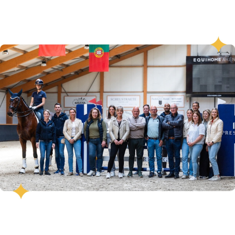 Paardensingel eQuick ES stud fluffy