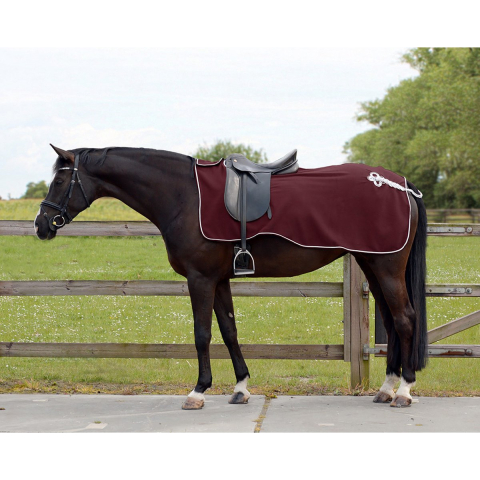 Fleece paardendekens QHP Ornament
