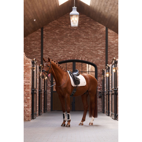 Zadeldek voor paarden Imperial Riding Penny DR