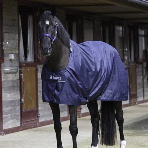 Paardendeken Bucas 0g