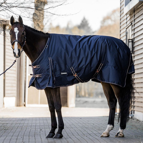 Buitenkleed voor dubbeltjespaarden HORKA 200 g