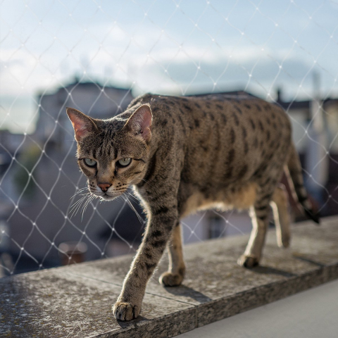 Beschermnet voor katten Duvoplus Balcon
