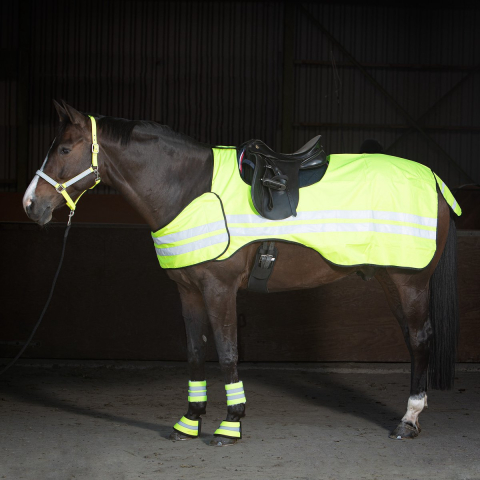 Reflecterende paardendeken Harry's Horse