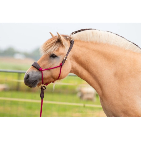 Leren halster voor paarden Edix Saddles Resi