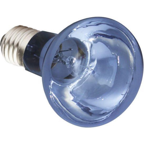 Terrarium lamp Komodo Neodymium