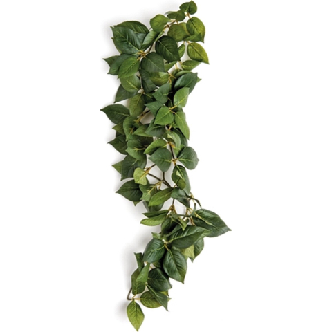 Reptielen schuilplaats Komodo Sumatra Hanging Vine