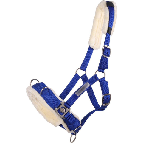 Paardenbox QHP