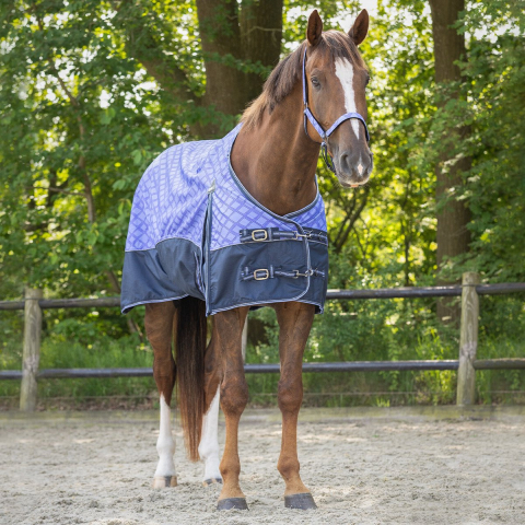 Waterdichte dekens collectie voor paarden QHP 0 g
