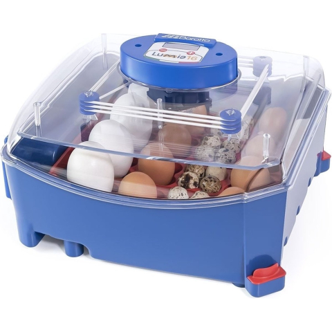 Automatische broedmachine voor 16 eieren Borotto Lumia